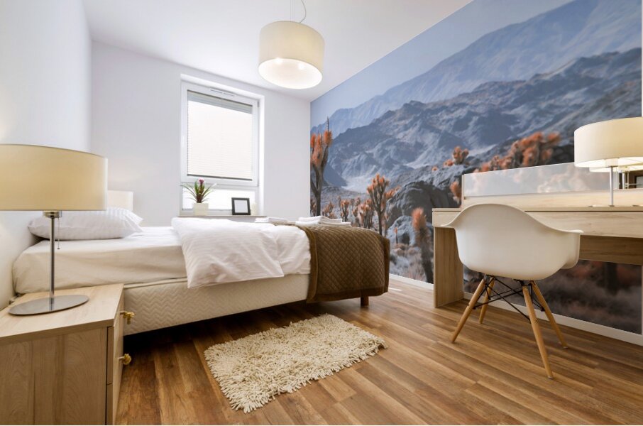 Deserts Spiky Palette Mural print