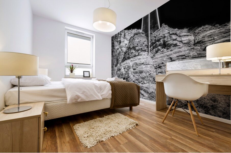 Surreal Stillness in Sacred Shadows Mural print