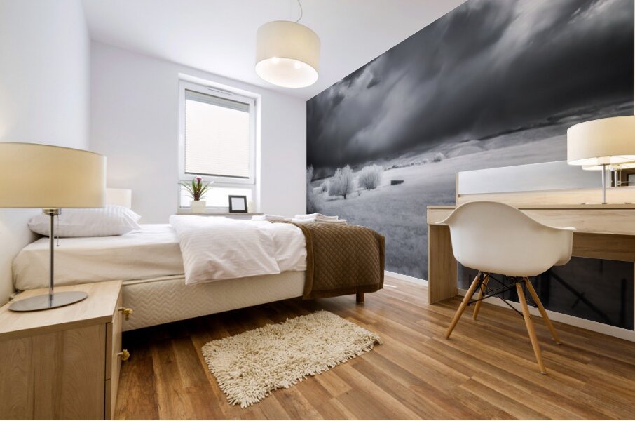 Prairie Solitude   Wyoming Minimalism Mural print