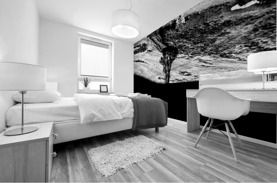 Solitary Sentinel Mural print