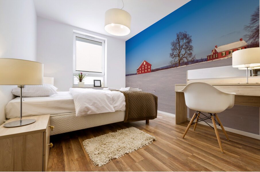 Red Barn Blue Silence Mural print