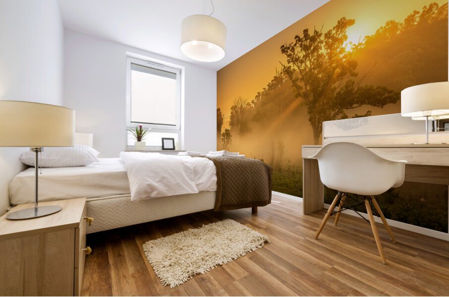 Misty Morning Glow: Dawn in Gettysburg Mural print