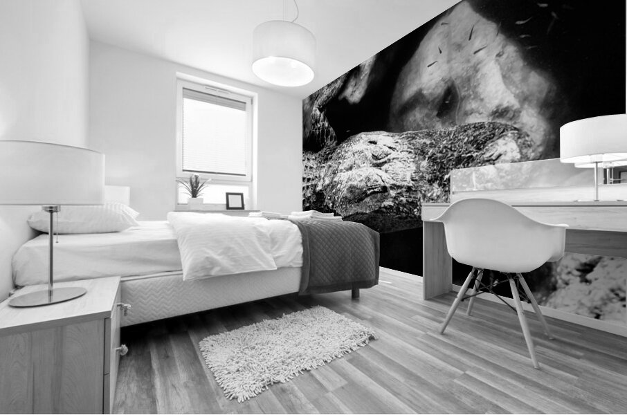 The Patient King Mural print