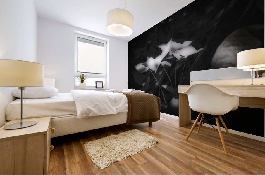 Six Petals of Quiet Fire Mural print