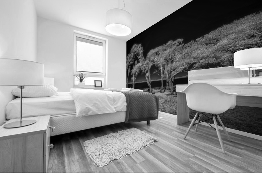 Enchanted Canopy: Exploring Gulf Shores Mystical Oaks Mural print