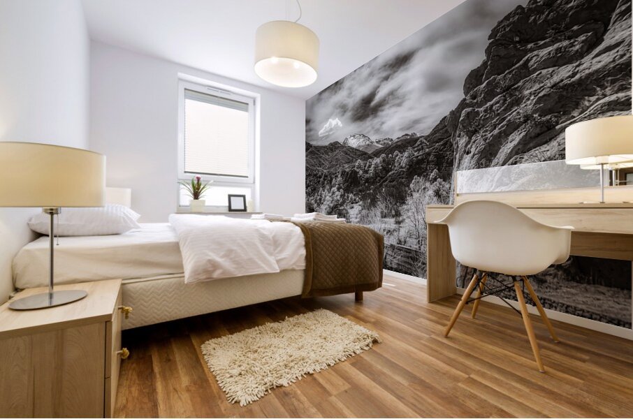 Red Rock Serenity  Mural print