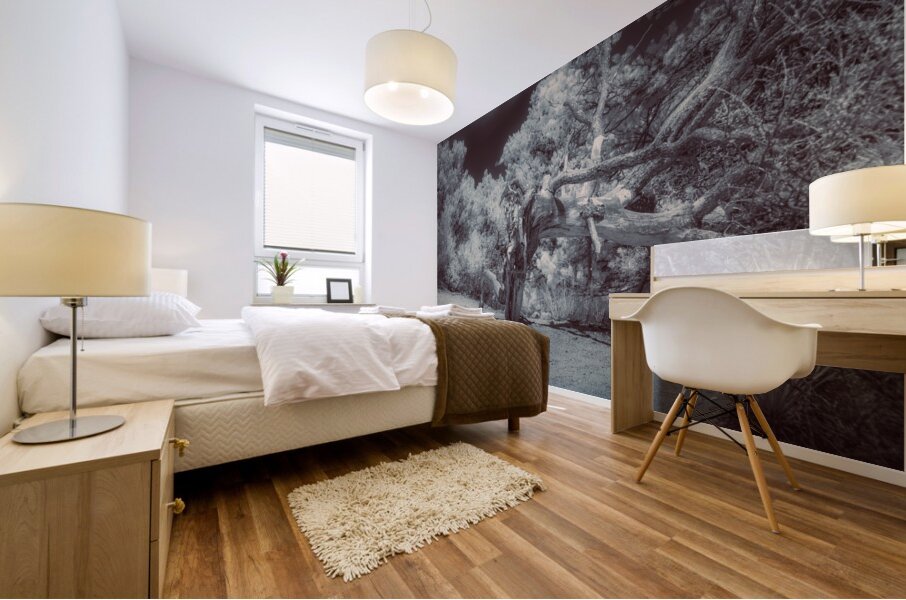 Natures Ancient Dance Mural print