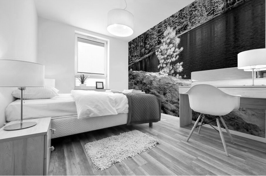 Small Spring Snowy Pine Mural print