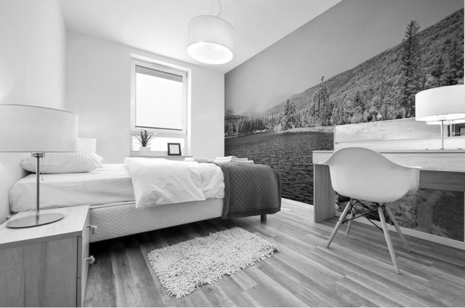 Shoreline Vista: Sprague Lake Mural print