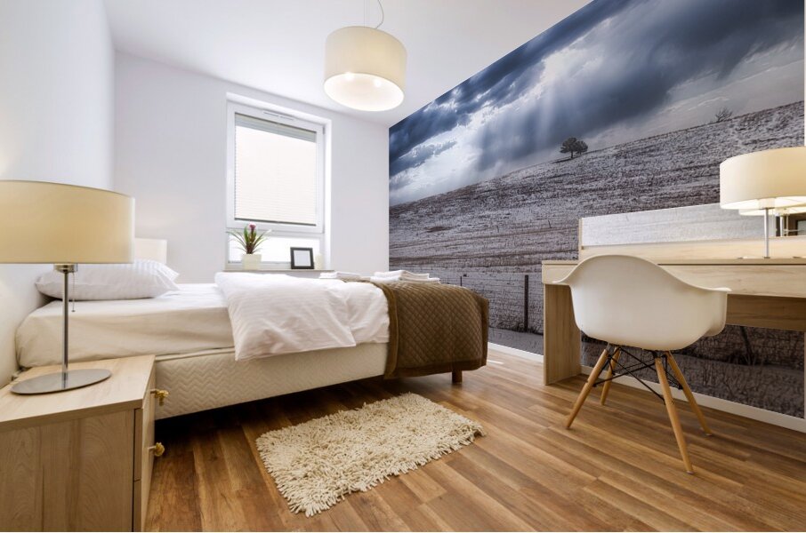 Winters Solitude in Colorado Mural print