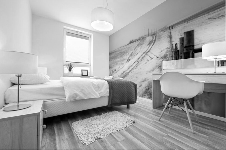 Nebraska Farm - 5 Mural print