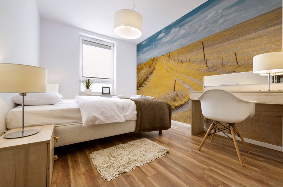 Nebraska Farm Lane - 2 Mural print