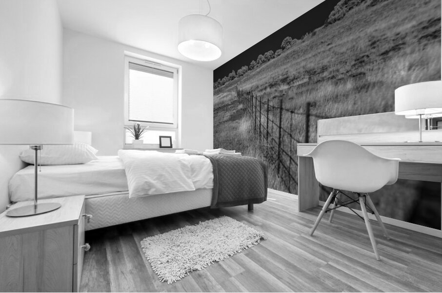 Fenceline Whisper in Monochrome Mural print