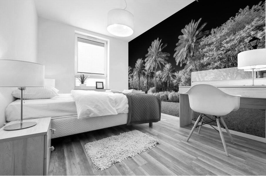 Saint Marys Park Mural print