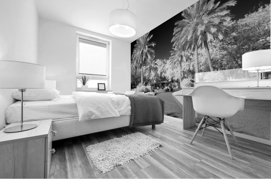 Monochrome Serenity: Palm Tree Harmony in Saint Marys Georgia Park Mural print