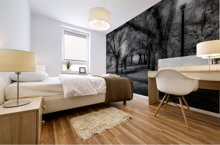 Curvy Dusk Walkway Mural print