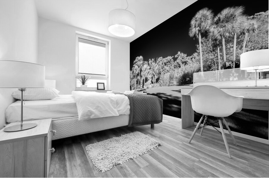 Lighted Center Mural print