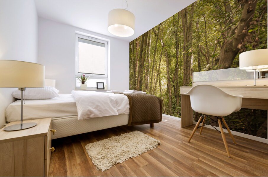 Pathway to Woodland Dreams Mural print