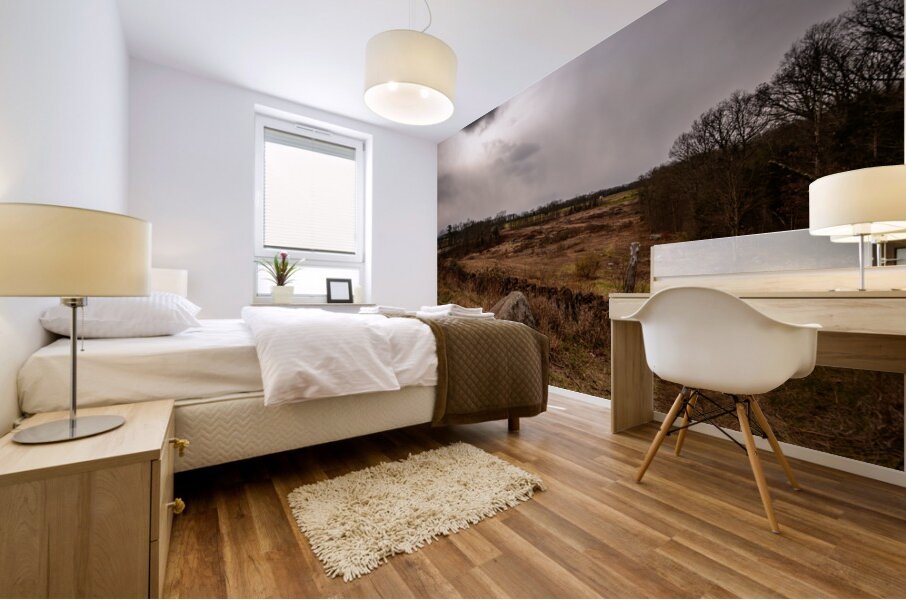 Triangular Fields Path Mural print