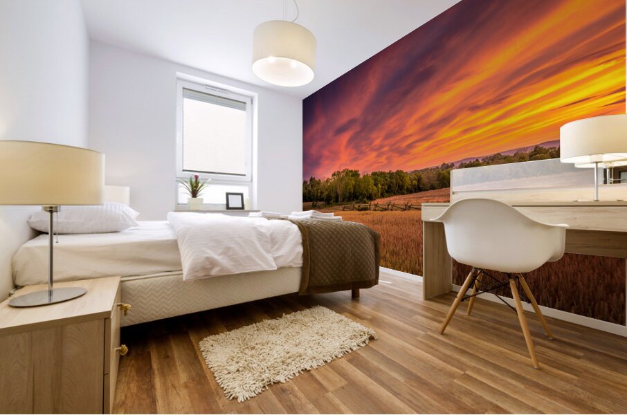 Sunset along a fence Mural print