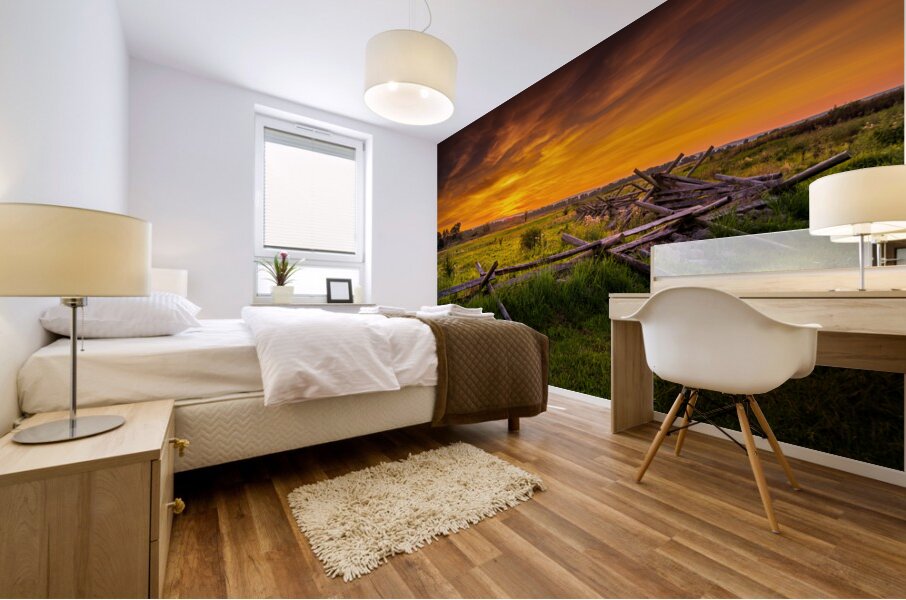 Fenceline Sunset Mural print