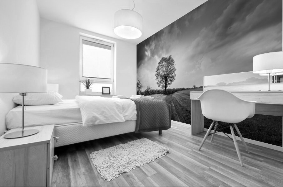 Majestic Solitude: An Evening Ride Through History Mural print