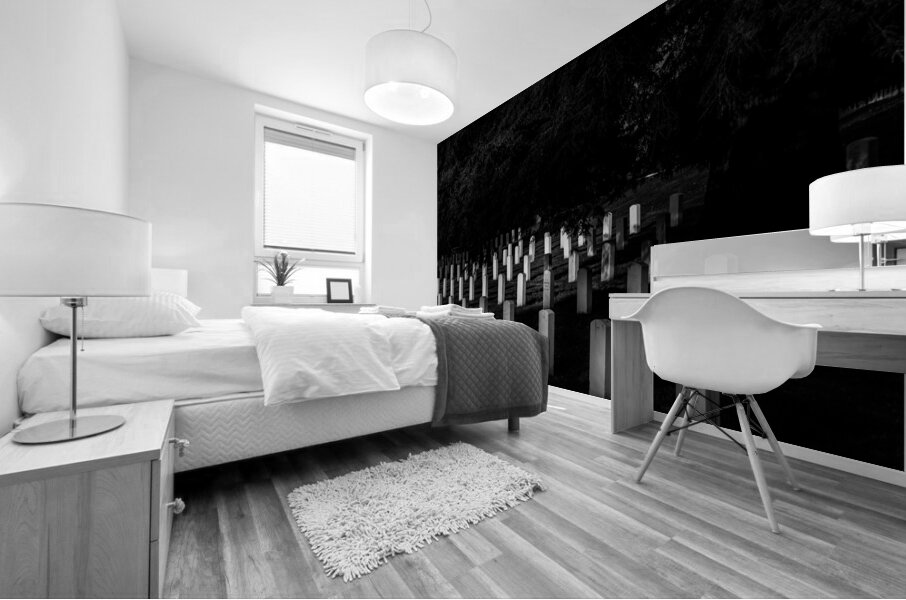 Silent Solace: Gettysburg National Cemetery Mural print