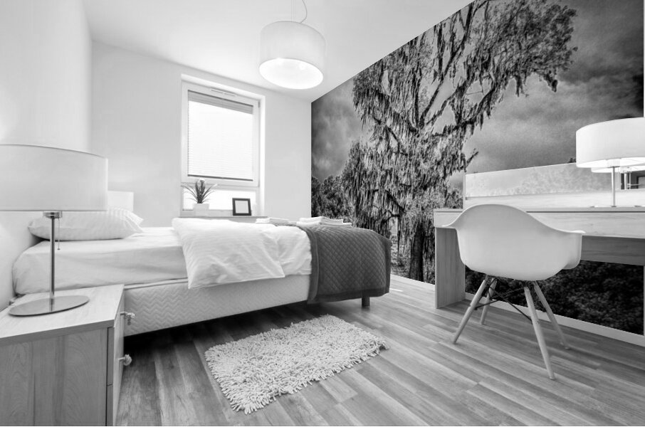 Spanish Moss Soliloquy Mural print