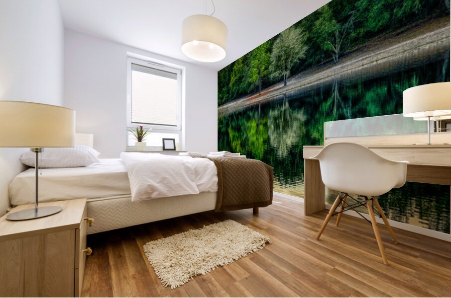 Florida Dreamscapes: Indian Lake State Forest Mural print