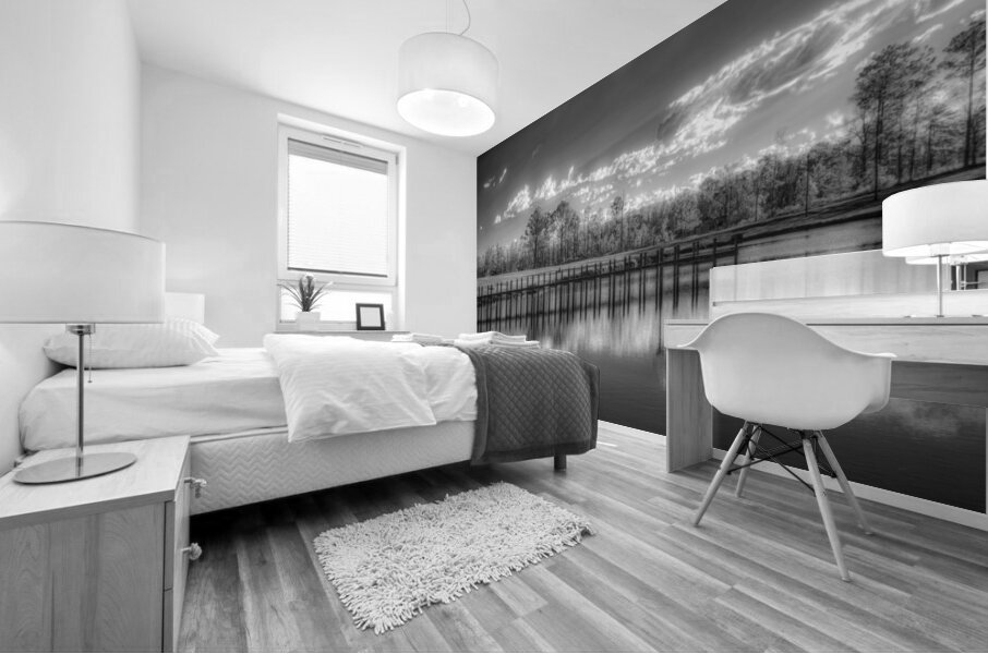 Tranquil Reflection: Florida Dead Lakes Mural print