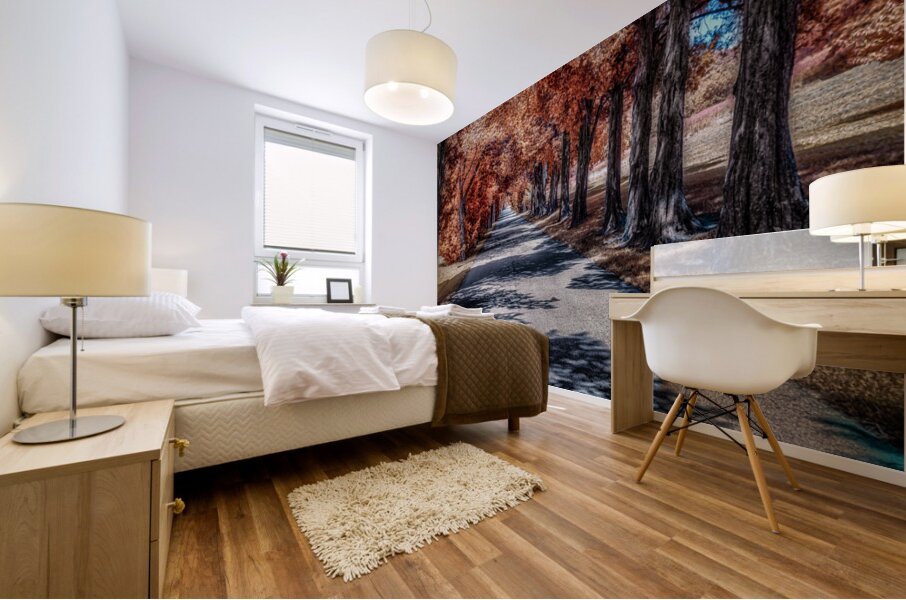 Infrared roadway Mural print