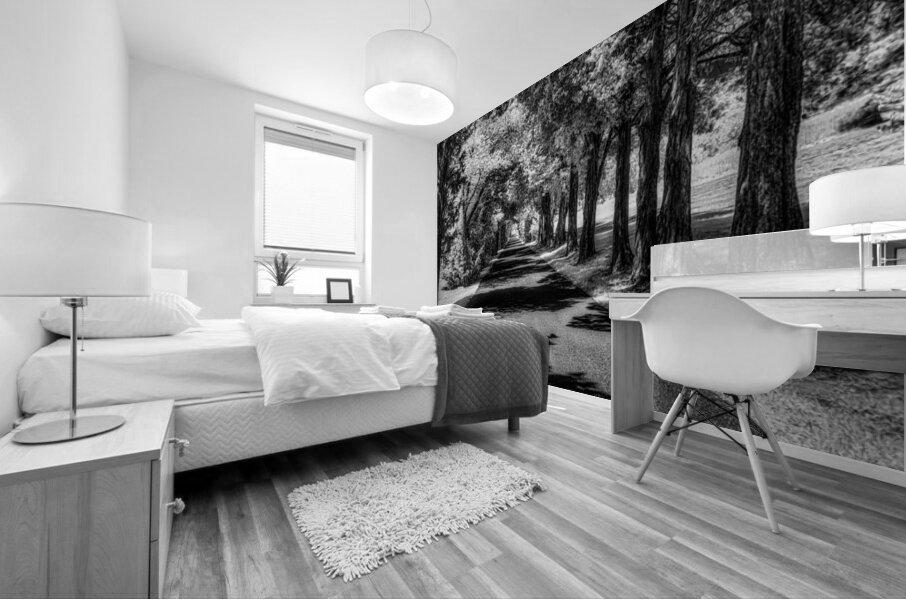 Shadows Path Beckons Mural print