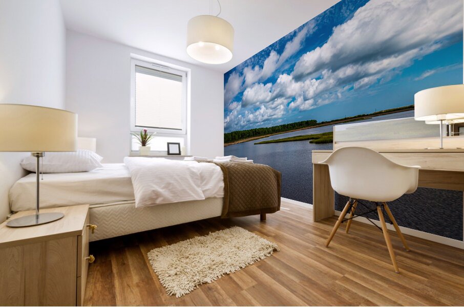 Marshland Tranquility: A Glimpse into Bodie Islands Outer Banks Beauty Mural print