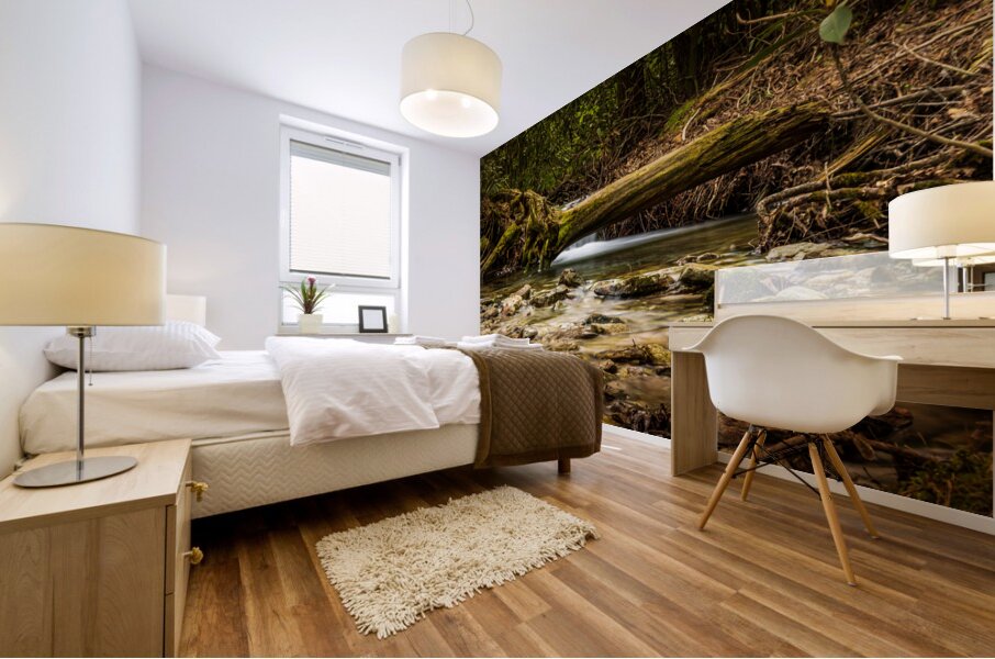 Hidden falls Mural print