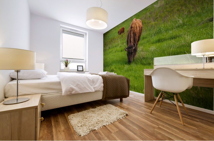 Bison Tales: Grazing in Greatness Mural print