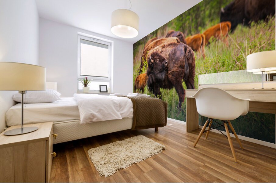 Bison Tales: Got an Itch Mural print