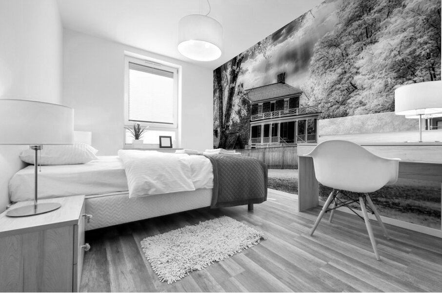 Silent Surrender: The McLean House in Appomattox Courthouse Town Mural print