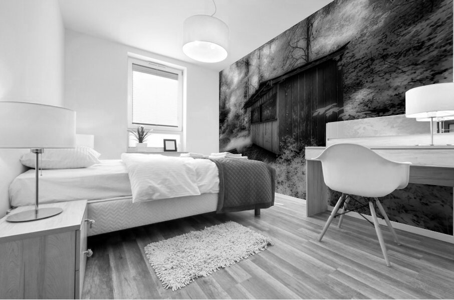 Tennessee Shed Mural print