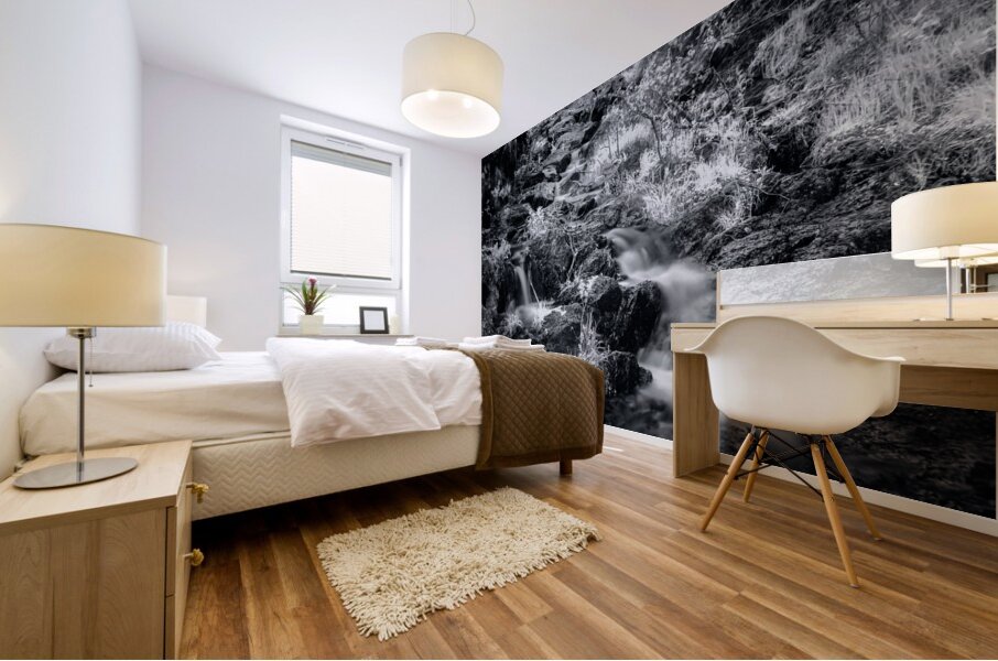 Bismarcks Silver Dance Mural print