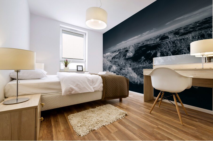 Shadows of Time: Exploring Palo Duro Canyons Monochrome Majesty Mural print