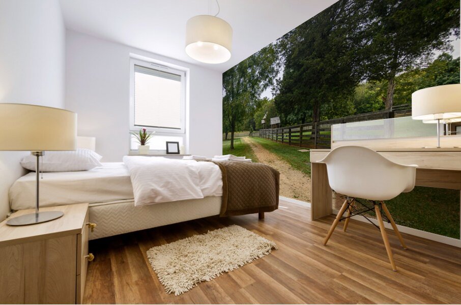 Green Serenity: Unveiling the Enchanting Path a Hidden House in Appomattox Courthouse Mural print