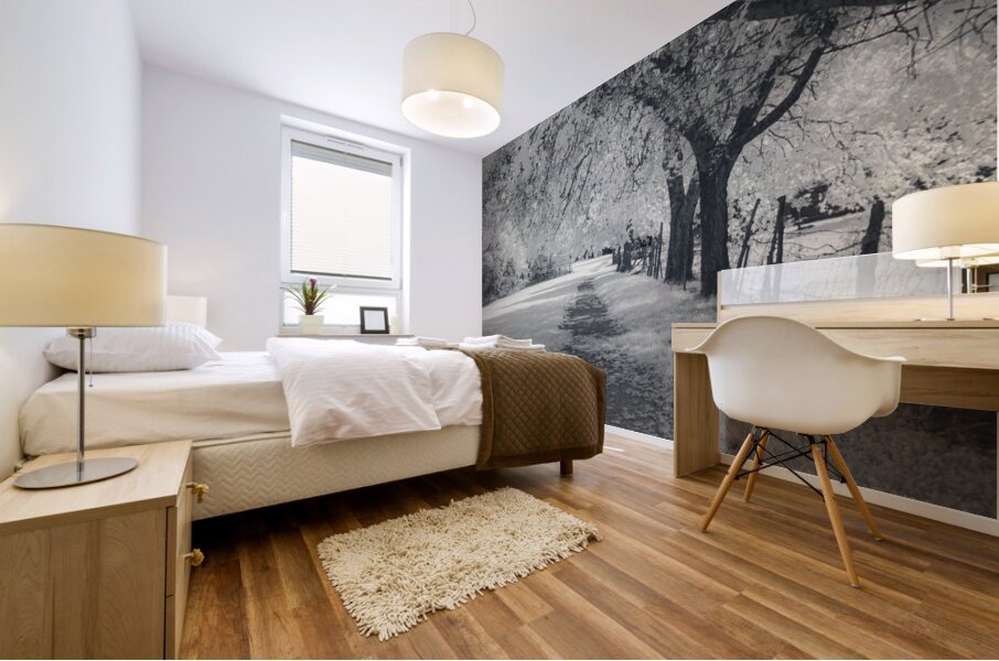 Farm Path - 3 Mural print