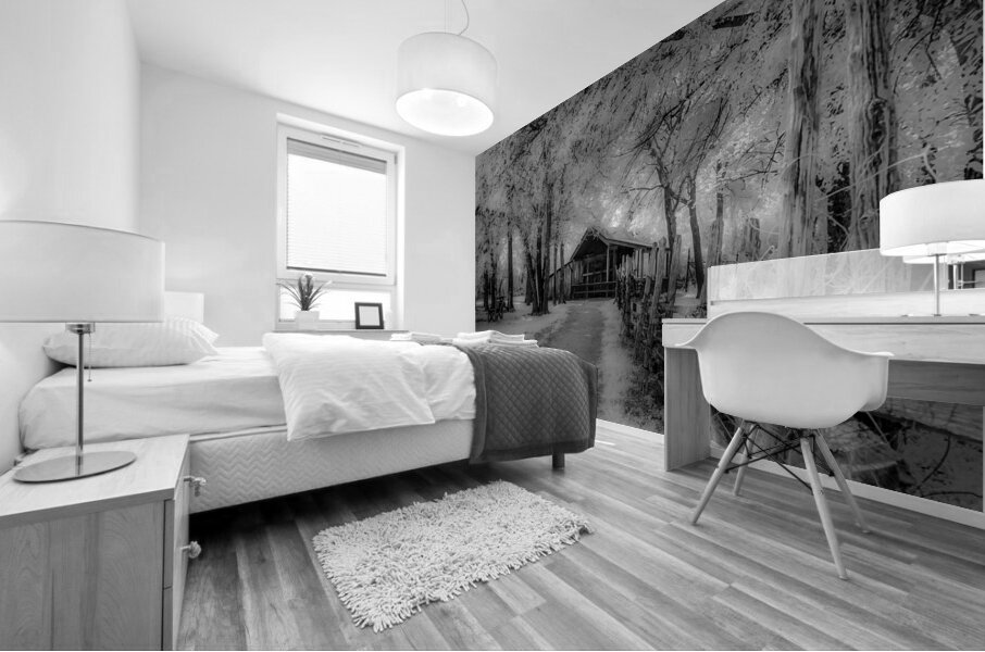 Barn Path Mural print