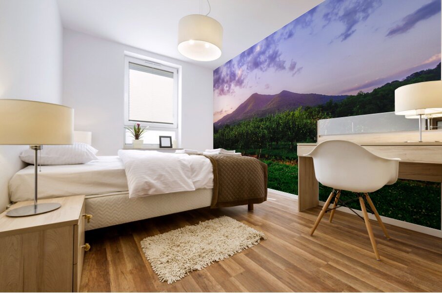 Light Peaks of Otter Mural print