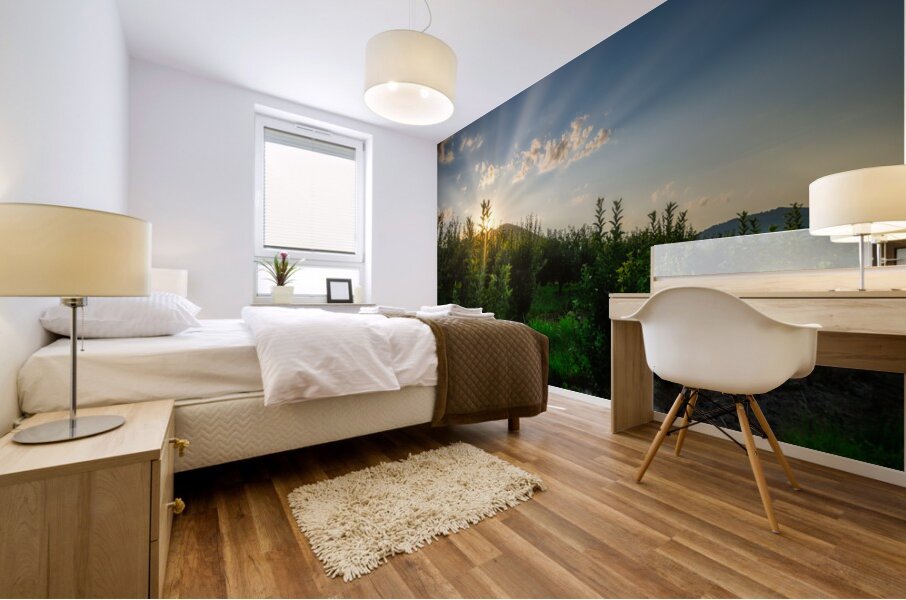 Peaks of Otter Mural print