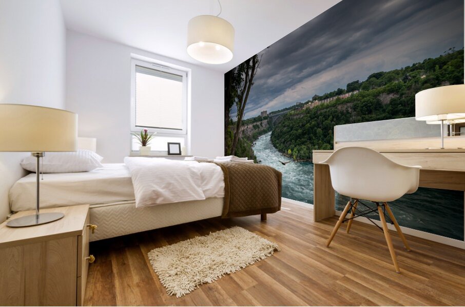 Soaring over the Whirlpool Mural print