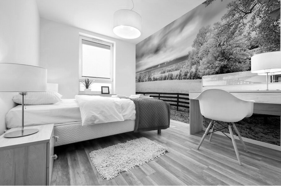 Silent Echoes of History: Exploring Appomattox Courthouse Battlefield Mural print