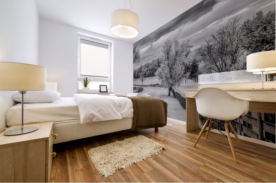 Journey Beyond: Traversing the Worn Road of Appomattox Courthouse Town Mural print