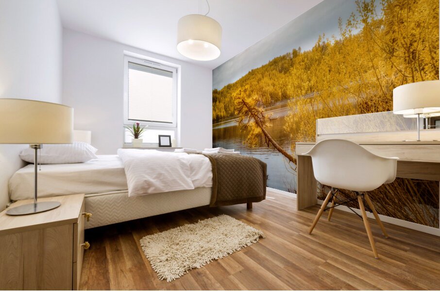 Shadows and Reflections: Overhanging Trees on Center Lake Mural print