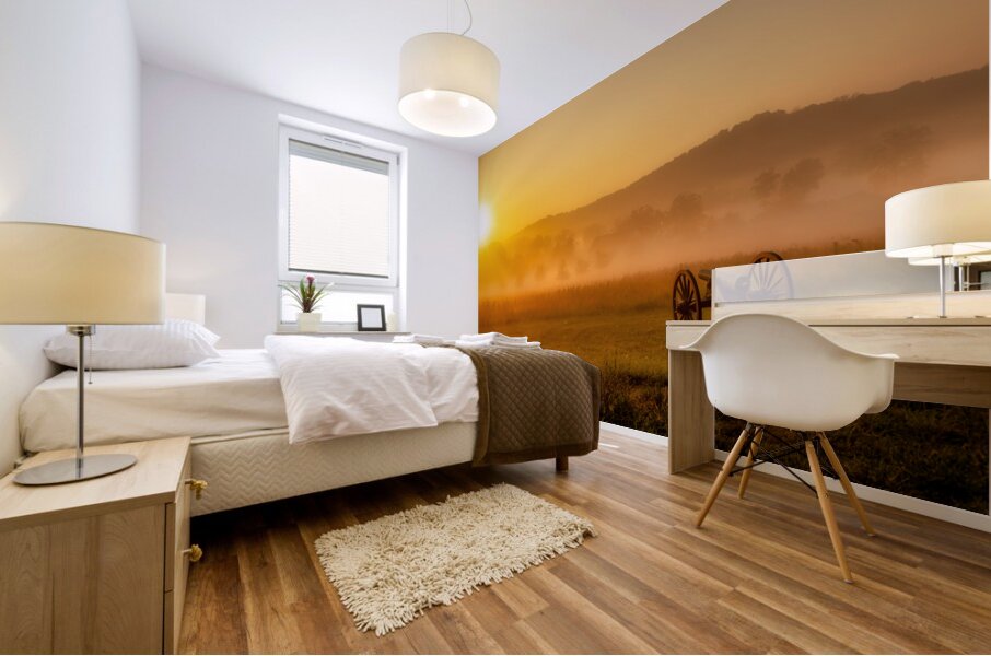 War and Peace at Dawn Mural print